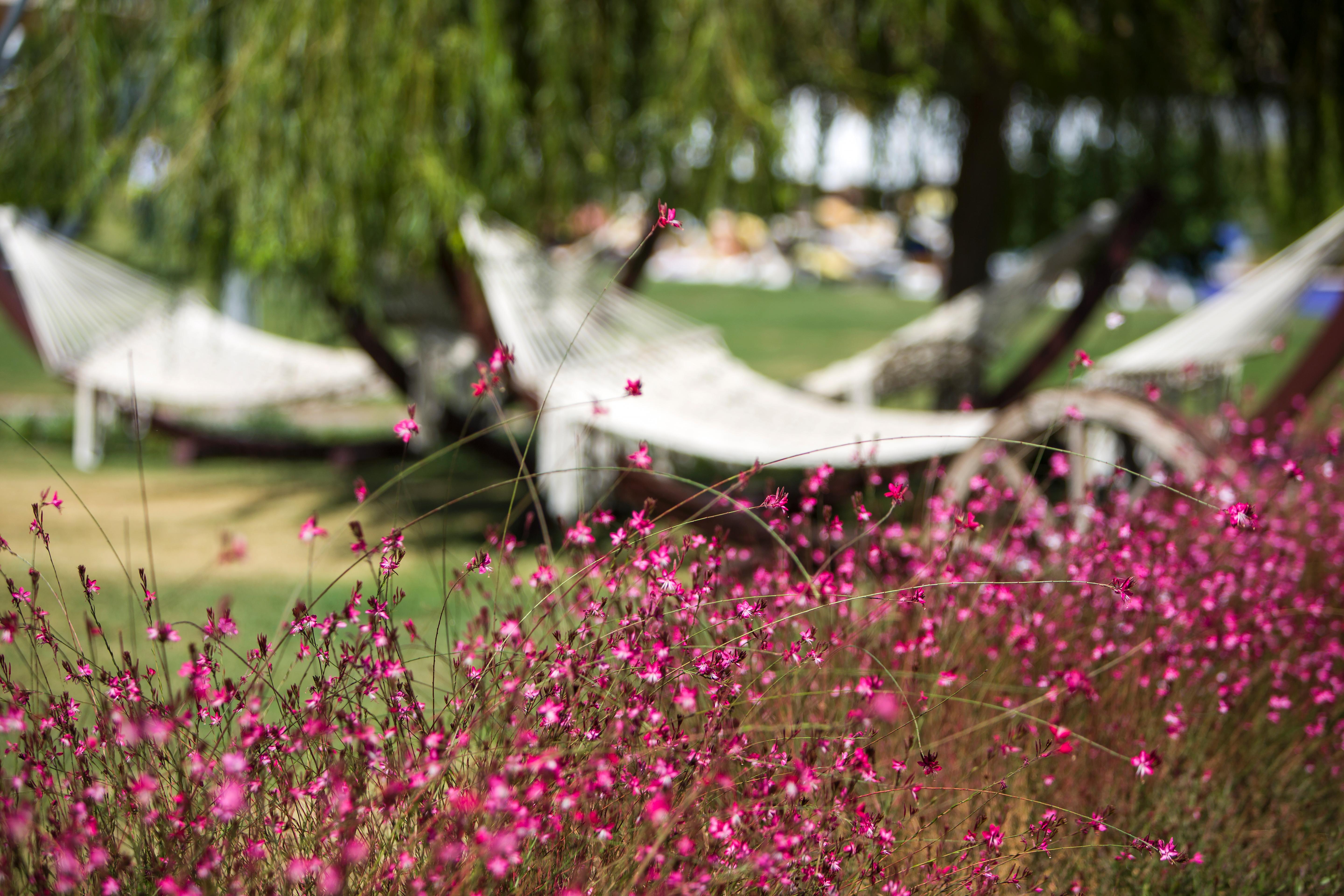 Xanthe Resort & Spa Evrenseki Exterior photo